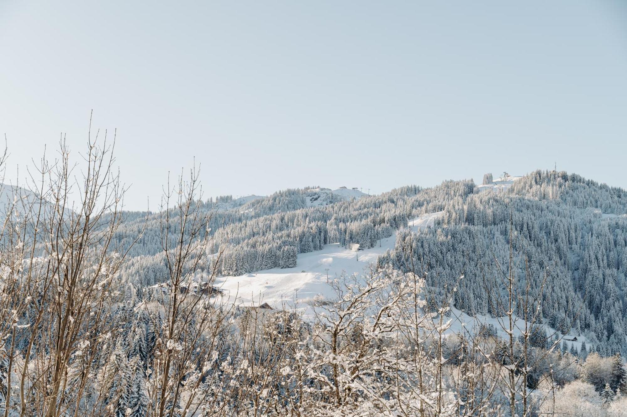 Les Chalets Du Mont D'Arbois & Spa, Megeve Luaran gambar